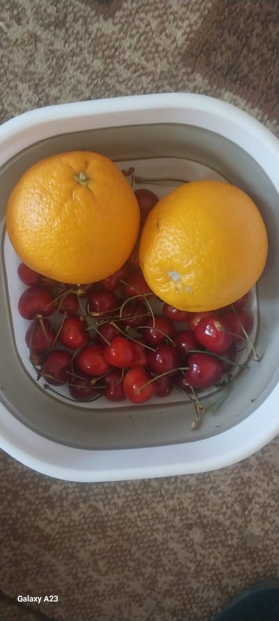 A top-down, medium shot captures a white plastic basin filled with cherries and two oranges. The basin rests on a brown, speckled carpet. The left orange is positioned at the top left of the basin, and the right orange is to its right. Cherries are piled beneath and around the oranges, with their stems visible. The lighting is even, and the scene appears to be indoors. The image is watermarked with "Galaxy A23" in the bottom left corner. There is no information available regarding the location in Berkarat, Armenia.