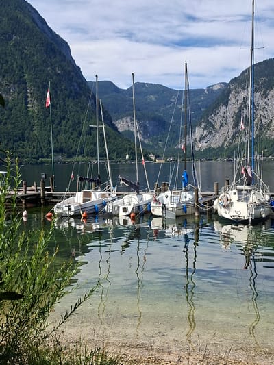 This image depicts a serene harbor in Obertraun, Austria, nestled at the foot of majestic, tree-covered mountains. The foreground is dominated by the tranquil waters of a lake, reflecting the sky and the surrounding scenery. Along the shore, a wooden dock is lined with several sailboats, their masts reaching towards the sky. The boats, mostly white with some blue accents, are moored and appear to be at rest. Orange buoys are visible in the water, marking the dock and possibly indicating mooring spots. A small, red and white flag is attached to a flagpole on the dock. The background is defined by the imposing mountains, with a clear blue sky dotted with white clouds. The overall atmosphere is one of peacefulness and natural beauty.