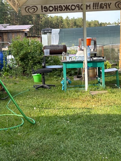 The image depicts an outdoor scene in what appears to be a residential or dacha garden setting in the city of Lesnoi, Russia. The foreground consists of a vibrant green lawn with scattered dandelions and a coiled green garden hose extending from the lower left.
In the mid-ground, a makeshift outdoor utility area is arranged. To the left, a black office chair with wheels rests on the grass next to a bright green plastic bucket. Behind it, a dense green bush with light-colored berries is visible, partially obscuring a large blue plastic barrel. Further to the right of the bush, a rusty, barrel-shaped object, possibly a grill or smoker, sits on a dark metal stand, topped with a small clear plastic bucket.
The central feature is a green wooden table. On its surface, various items are organized: a blue plastic dish drying rack holding white plates and other dishes, a bottle of "Fairy" dish soap, a large clear plastic water bottle, an orange plastic funnel, and a small portable electric or gas cooktop. A white pole, likely supporting the overhead umbrella, stands in front of the table. Beneath the table, a blue cloth or towel hangs, and a metal bucket or can is visible. To the immediate right of the table, a light-colored metal bench or stool is present.
The background reveals a wooden building with a reddish-brown corrugated metal roof on the far left. Directly behind the table area, large structures covered in green mesh or netting, resembling greenhouses or agricultural coverings, are visible. Beyond these structures, a dense line of tall pine trees forms the horizon under a clear sky.
Above, partially visible in the upper portion of the frame, is the underside of a light-colored patio umbrella featuring an inverted, mirrored logo (a heart shape) and Cyrillic text, appearing to be "МОРОЖЕНОЕ" (MOROZHENOE), suggesting an ice cream brand advertisement. No individuals are present in the scene. The overall impression is that of a functional, lived-in outdoor space during daylight hours.