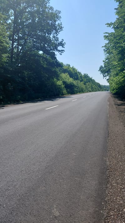 A paved road with white lane markings runs through a lush green forest on a clear, sunny day. The road curves gently to the right in the distance. Tall trees line both sides of the road, with dense foliage creating a shaded canopy. The ground beside the road is covered in gravel and dirt. The sky is a bright, cloudless blue. There are no people or vehicles visible in the image. The location is identified as the city of Ivanhorod, Ukraine.