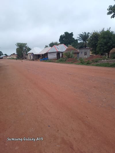 A wide, dusty, reddish-brown dirt road stretches across the foreground of the image. In the background, several structures line the side of the road. These include a few small, simple houses with corrugated metal roofs, some with thatched roofs. A small, light brown dog stands near the middle of the road, facing left. A person in a green shirt and dark pants walks away from the camera on the left side of the road. A few palm trees and other green foliage are visible behind the buildings, suggesting a rural or semi-rural setting in Doka-Tofa, Nigeria. The sky is overcast and a pale gray. The bottom left corner of the image contains a watermark that reads "Samsung Galaxy A03".