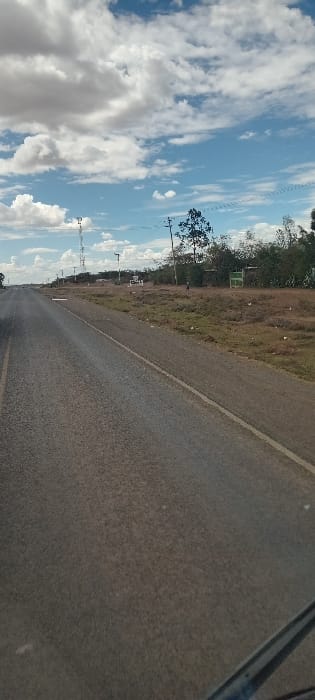 A sunlit, clear blue sky with scattered clouds dominates the upper left of the image. A straight, gray asphalt road stretches diagonally across the frame. To the left of the road, dry, grassy fields border a line of trees. Telephone poles are visible in the distance, leading toward the horizon. Part of a car interior is visible in the upper right corner.