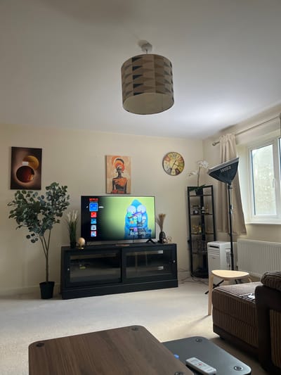 This is an interior photograph of a residential living room located in Stevenage, United Kingdom. The room features light-colored walls and a light-toned carpet. Centrally positioned, a large flat-screen television rests on a black media console with sliding glass doors. The television screen displays the Netflix user interface, showing "Solar Opposites" as featured content and multiple user profiles.
To the left of the media console, a tall artificial plant with green foliage is situated in a black pot. Mounted on the wall above the plant is an abstract artwork depicting two overlapping circular shapes in brown and orange hues. A second artwork, portraying a woman wearing an orange headwrap, hangs on the wall directly above the television. To the right of this, a multi-colored circular wall clock indicates a time approximately 11:30.
In the far right of the frame, a double-glazed window with light beige curtains is visible, below which a white radiator is installed. A tall, black, open-shelf unit stands to the right of the media console, displaying various decorative items, including small golden trophy-like objects and artificial white orchids. Adjacent to the shelf unit, a white portable air conditioning unit is positioned on the floor, next to a small, light-colored wooden stool. A professional studio softbox light on an adjustable stand is located in the corner by the window.
In the immediate foreground, the edge of a dark wooden coffee table is visible, upon which a white remote control rests. The white ceiling features a cylindrical light fixture adorned with a geometric pattern composed of brown and black triangles. No individuals are present in the scene.