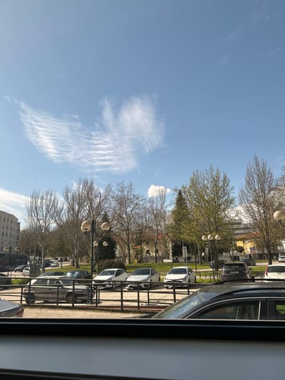 The image depicts an urban landscape under a clear blue sky with distinct cirrus clouds forming a wave-like pattern in the upper left. The foreground is partially obscured by a dark, horizontal window frame. Beyond this frame, a row of approximately five vehicles is parked behind a black metal railing, facing a green space. These include a light grey sedan on the left, three white sedans positioned centrally, and a dark grey SUV on the right. Additional vehicles are visible in the background on a street that runs parallel to the green space.
The central part of the scene features a park or public garden area with numerous deciduous trees, mostly bare-branched or showing nascent green foliage, indicating late winter or early spring. Several evergreen trees are interspersed. Multiple spherical-light street lamps are distributed throughout this green area. In the background, various buildings are visible, including a multi-story, light-colored structure on the far left. The overall environment suggests a well-maintained urban public area within the city of Chaves, Portugal. No individuals are clearly discernible, and no active interactions or movements are captured. The scene is static, illuminated by direct sunlight, casting visible shadows.