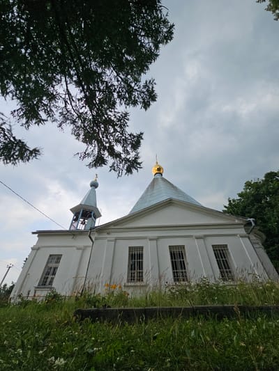 The image depicts a low-angle view of a white Orthodox church with a blue roof and a golden dome. To the left of the main structure is a bell tower, also topped with a golden cross. The church has tall, narrow windows with metal bars. Overgrown green grass and some yellow flowers are in the foreground, obscuring the lower part of the building. In the upper left of the frame, dark green tree branches with pine needles hang over the scene. The sky is overcast with gray clouds. The scene is set in Ulitkino, Russia.