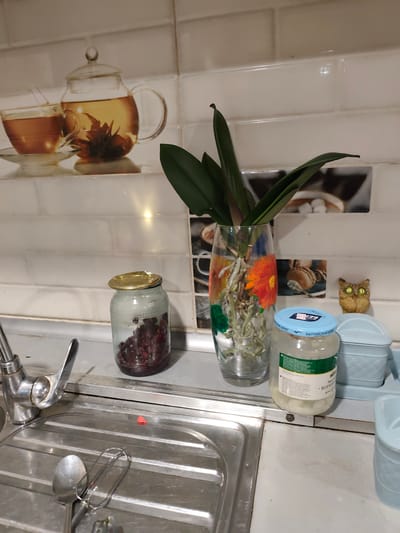 A close-up, eye-level shot shows a kitchen counter in Komsomolskoe, Kyrgyzstan. The counter is made of a light-colored material and features a stainless steel sink on the left. In the sink, a spoon and another utensil are visible.

On the counter, there are several items. To the left, a glass jar with a gold lid contains dark red berries. Next to it, a tall, clear glass vase holds a plant with broad green leaves and exposed roots. The vase is decorated with a painted orange flower. Behind the vase, a small decorative owl figurine with green eyes sits on the counter.

To the right of the plant, a glass jar with a blue lid contains a white substance, possibly food. A label on the jar has text in Cyrillic, with "Балтийский берег" (Baltic Coast) clearly visible, and "корн..." which likely refers to a food item. Further to the right, there are two light blue containers with woven patterns, one with a lid.

The backsplash behind the counter is made of white subway tiles. A decorative tile depicting a glass teapot and cups of tea is mounted on the backsplash above the jar with berries. The overall scene suggests a domestic setting, likely a kitchen, with everyday items present. There are no people visible, and the lighting is consistent with indoor, artificial light.