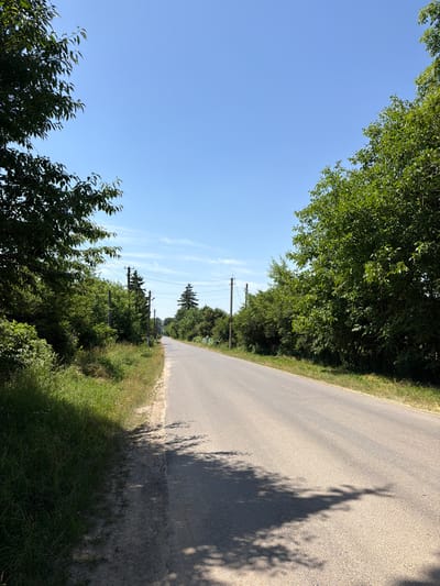 The image depicts a rural asphalt road stretching into the distance under a clear blue sky with scattered wispy clouds. Dense green trees and foliage line both sides of the road, creating a shaded canopy in some areas. Power poles with overhead lines are visible along the left side of the road, disappearing into the trees. The ground on the left shoulder of the road is covered in grass and dry vegetation, with distinct tree shadows cast across the asphalt. The overall scene suggests a quiet, sunlit day in a green, possibly agricultural or semi-forested area, consistent with the outskirts of Novosilka, Ukraine. No people are present in the image.
