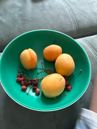 In a bright green bowl with a white rim, four ripe apricots are arranged on a textured grey surface, possibly a sofa. The apricots are a vibrant orange-yellow and show a subtle blush of red on one side. Amongst the apricots are a small cluster of dark red cherries, some of which appear to be pitted or halved, with their thin stems still attached. The lighting suggests an indoor setting, possibly in Ближнеконстантиново, Russia, given the contextual information. A person's leg, clad in light-colored fabric, is visible on the right side of the frame, indicating a human presence. The overall scene captures a simple, fresh fruit arrangement.