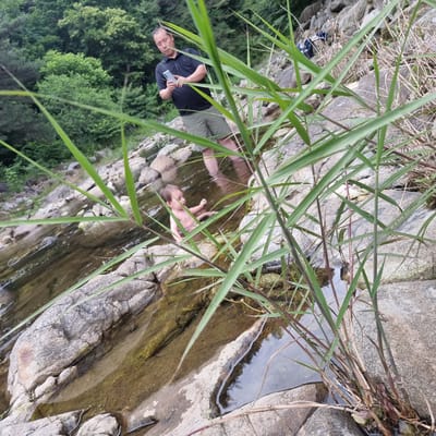 In this media file, two people are in a shallow, rocky stream. One is an adult male, wearing a dark t-shirt and green shorts, holding a smartphone. The other is a young child, seemingly naked, lying in the water. The scene is set in a natural environment with lush green trees visible in the background and large rocks lining the stream. Tall grass and reeds partially obscure the view of the individuals and the water. The lighting suggests it is daytime, and the weather appears to be warm, suitable for being in the water. The overall mood seems relaxed and casual.