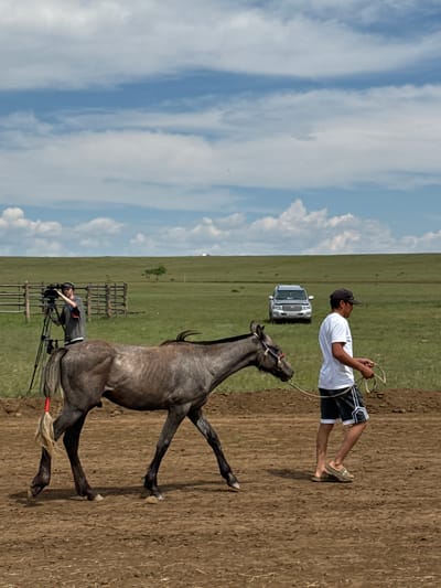 In Orongoi, Russia, a man in a white t-shirt and black shorts leads a grey horse across a dirt arena, holding a rope halter. The horse has a red ribbon tied around its tail. In the background, a person operates a video camera on a tripod, facing the horse and handler. Further back, a silver SUV is parked in a green grassy field with a wooden fence. The sky is blue with scattered white clouds, and the landscape is open and rural.