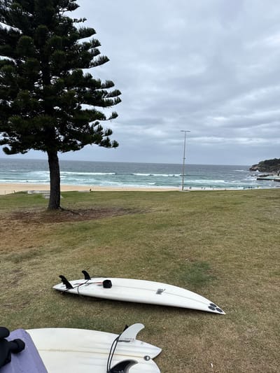 The image shows two white surfboards lying on a grassy area near a beach. A tall pine tree stands to the left of the frame, partially obstructing the view of the coastline. The ocean is visible in the background, with gentle waves breaking on the sandy shore. A utility pole stands between the beach and the grassy area. The sky is overcast with a blanket of grey clouds. The overall scene suggests a cloudy day at a beachside location.