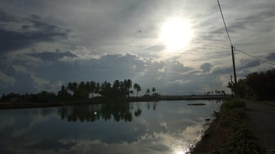 This is a wide shot of a serene natural landscape in Pasi ie Leubeue, Indonesia. The image is dominated by a reflective body of water, likely a rice paddy or pond, in the foreground. The water mirrors the dramatic sky above, which is filled with a mix of dark, ominous clouds and bright, sunlit patches, creating a strong contrast. The sun itself is a brilliant, almost blinding orb peeking through the clouds, casting a soft glow and illuminating the scene.

Along the far bank of the water, a silhouetted line of palm trees stands tall, their fronds appearing dark against the bright sky. Behind the trees, hints of rural structures and vegetation are visible. A single bird is captured in silhouette against the sky, adding a dynamic element to the otherwise still scene.

To the right of the image, a dark, unpaved road runs along the edge of the water, bordered by dense green foliage and undergrowth. A solitary wooden utility pole with power lines stretches upwards, disappearing into the sky. The overall impression is one of a tranquil, slightly moody, rural environment at either sunrise or sunset.