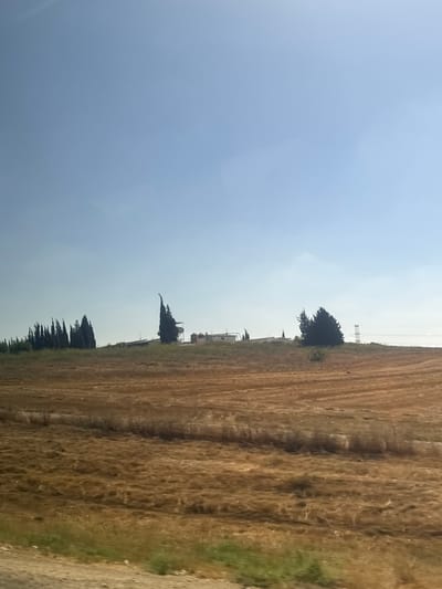 The image depicts a wide, sun-drenched landscape under a clear, pale blue sky. In the foreground, a field of dry, yellowish stubble stretches across the frame, showing the distinct parallel lines left by harvesting equipment. The texture of the field suggests it's been recently mowed.
Further back, on a gentle rise, a line of tall, dark green cypress trees stands against the horizon. To the right of these trees, a single, strikingly tall and slender cypress tree dominates the view, its silhouette sharply defined against the sky. Beyond the trees, a low-lying settlement or collection of buildings is visible, appearing as a series of structures with white roofs and some darker elements. A tall, latticed metal structure, possibly a transmission tower or pylon, is situated to the right of the settlement, with thin wires extending from it. The overall impression is of a rural, possibly agricultural setting. The bright sunlight suggests it is daytime, with the sun positioned high in the sky. The image appears to be taken from a moving vehicle, as indicated by a slight blur in the foreground vegetation.
While the exact location within the Yoav Regional Council, Israel is not visually identifiable from the image itself, the landscape is consistent with the agricultural and semi-arid environments found in such regions.