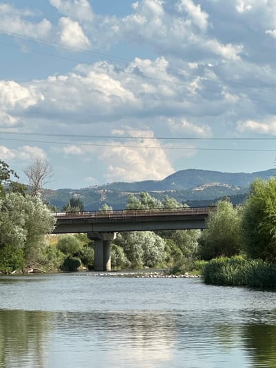 The image captures a scenic view of the river in Buchino, Bulgaria, under a partly cloudy sky. A concrete bridge with metal railings spans across the river, supported by large concrete pillars. Lush green trees and vegetation line the riverbanks, with a dense patch of tall grass on the right side. In the distance, rolling hills covered in greenery are visible, with a faint outline of mountains further beyond. The river's surface is calm, reflecting the sky and the surrounding landscape. There are power lines stretching across the sky, and a faint, small object, possibly a distant bird or aircraft, is visible in the sky. No people or animals are clearly discernible in the image.