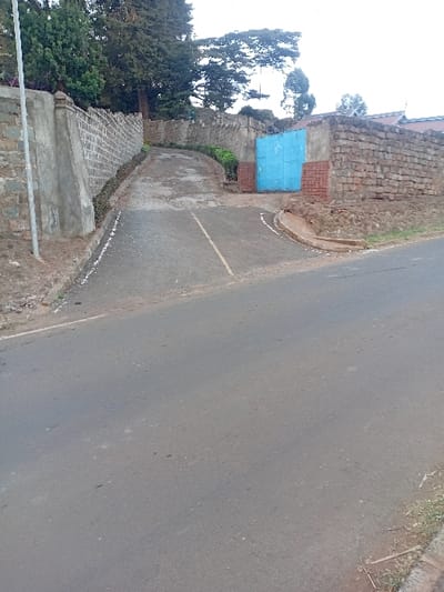 A tilted, eye-level shot of an asphalt road curving gently. A brick and stone retaining wall runs alongside, transitioning into steps with a low metal railing. A turquoise-painted square object sits within the wall. Green trees partially obscure the area behind the wall. The sky is overcast and indistinct.