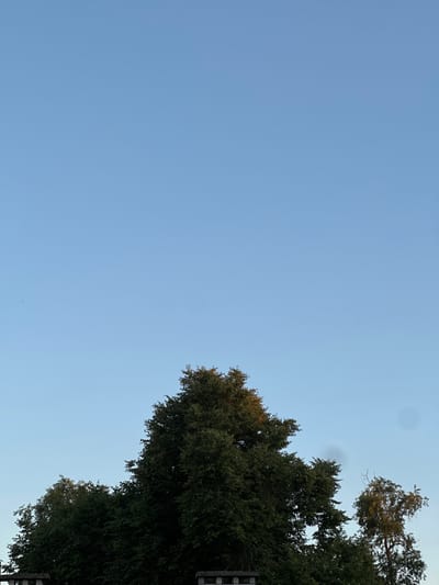 A wide shot captures a clear blue sky above the tops of several trees and a low fence. The sky takes up most of the frame, with the trees and fence in the bottom portion. The trees are dense and green, with some branches visible. The fence appears to be made of concrete posts and rails. The scene is quiet and still, suggesting it was taken during daylight hours, likely in the late afternoon or early evening due to the soft light. There are no people or animals visible in the image. The location is identified as Завалочыцкі сельскі Савет, Belarus.