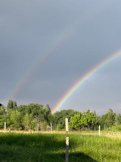 The image depicts a rural landscape under a cloudy sky, with a prominent double rainbow arching across the upper half. In the foreground, a grassy field is visible, bordered by a wire fence and two concrete fence posts. Behind the field, a dense line of green trees forms the middle ground, with varying shades of green indicating different tree species and foliage density. The background consists of the overcast sky, which appears to be a medium grey, punctuated by the vibrant colors of the double rainbow. The primary rainbow is more distinct and brighter, showing a clear spectrum of colors, while the secondary rainbow, fainter and above the primary, is also visible. The lighting suggests it might be after a rain shower. The scene appears to be an outdoor natural environment with no people or animals present. The location is identified as Жібек жолы ауылдық округі, Kazakhstan.
