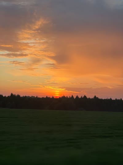 An outdoor, horizontal, full shot captures a sunset over a rural landscape. The sky is a vibrant gradient of orange and purple hues, with wispy clouds scattered across the upper portion of the frame. The sun is low on the horizon, casting a warm glow. In the mid-ground, a dense line of dark green trees forms a silhouetted border against the sky. The foreground features a vast, dark green field that appears to be covered in grass. The scene is devoid of any human presence or man-made structures, suggesting a natural and serene environment. The location is identified as Поварёнки, Russia.