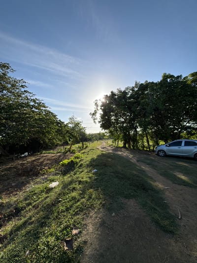 The image shows a rural scene in Mata De Caña, Colombia, on a sunny day. A dirt road stretches into the distance, bordered by trees on both sides. A light-colored car is parked near the beginning of the road, partially obscured by the trees. The sky is blue with scattered clouds, and the sun is visible through the trees. The ground along the roadside is covered with grass and some debris.