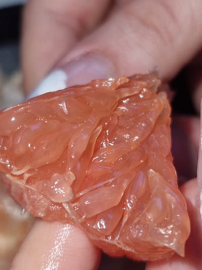 A close-up, extreme macro shot displays a person's fingers holding a piece of peeled pink grapefruit. The segments of the grapefruit are moist and translucent, with tiny vesicles visible. A fingernail, painted white, is partially visible at the top left of the frame. The background is out of focus, showing skin tones and hints of light. The scene is a common domestic or personal setting, not indicative of any specific urban location like Fresnes, France.