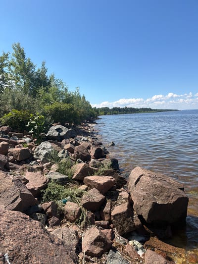 A waterfront scene in Kozarovychi, Ukraine, features a rocky shoreline with a dense growth of green trees and bushes lining the edge of a calm body of water. The water is clear enough to see the bottom in shallower areas, and ripples suggest a gentle breeze. The sky above is a clear, bright blue with a few scattered white clouds. Large, reddish-brown rocks dominate the foreground and midground, with some smaller stones and sparse vegetation interspersed among them. In the distance, a tree-lined horizon stretches across the frame, meeting the water under the expansive sky.