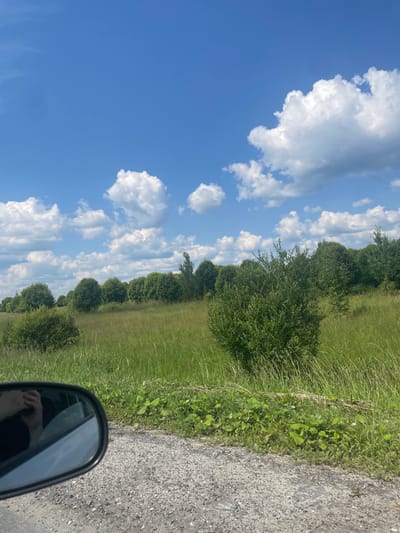 The image depicts a view from a car window, looking out onto a rural landscape under a partly cloudy blue sky. In the foreground, the gray, gravelly surface of a road is visible, with green vegetation growing along its edge. To the left, a car's side mirror is prominent, reflecting a person's hand and arm. The midground and background are dominated by a large, grassy field dotted with various green shrubs and trees. A line of trees forms a dense hedge in the distance, extending across the frame. The overall scene suggests a sunny day in a natural setting. The location is identified as Mikhalevo (Pomogalovskii S/S), Russia.