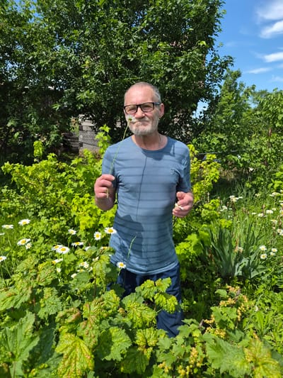 An outdoor, medium-shot, eye-level photograph captures a man standing amidst lush green foliage and white daisies in what appears to be a garden. The man, who has graying hair and a beard, is wearing glasses and a blue striped t-shirt. He is holding a thin green stem with a single daisy flower near his mouth, as if he is about to place it there. His left hand is extended, holding a small object, possibly a flower bud. The background is dominated by dense green bushes and trees, with a clear blue sky visible above. The overall impression is one of a serene, rural setting, likely in Novosisoevka, Russia, given the context.