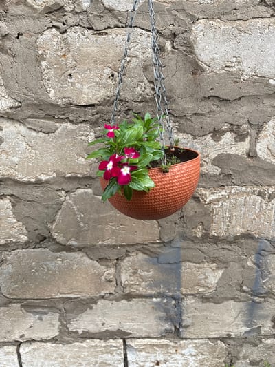 A hanging planter filled with vibrant pink and white flowers is suspended in front of a rough, textured stone wall. The planter is made of an orange, woven material and hangs from a silver chain. The wall appears to be made of irregular stone blocks cemented together, with visible cracks and variations in color, suggesting an outdoor setting. The lighting indicates it is daytime, with shadows cast on the wall. The image does not contain any people or specific identifiable landmarks of Kinel'-Cherkasy, Russia.