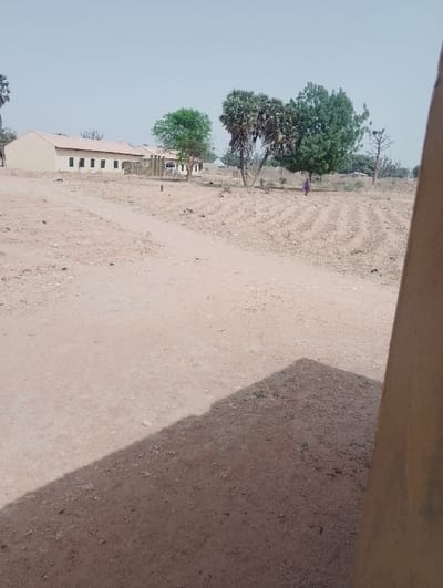 This image depicts an arid outdoor scene in Kanwa, Nigeria. The foreground consists of dry, light brown earth, partially obscured by a sharp diagonal shadow cast from an unseen structure on the far right. A lighter-colored dirt path or track meanders from the bottom center into the midground. Flanking this path, the ground shows distinct parallel ridges, indicative of tilled agricultural land in a dry state.
In the mid-background, to the left, a light-colored, single-story building with a light brown roof and multiple dark, rectangular window openings is visible. A smaller, less distinct structure is situated behind it. Centrally, a cluster of trees includes a vibrant green leafy tree, two taller trees with dense, dark green, palm-like foliage, and a bare tree with a lighter trunk further right.
A lone individual, clad in a long, flowing dark purple garment, walks from left to right across the ridged field in the mid-background, positioned to the right of the central trees. The sky above is a pale, hazy blue, suggesting a dry atmosphere. No other people, vehicles, or specific objects are clearly discernible.