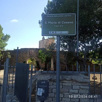 The image shows a sign in Italian that reads "Percorso delle piante e dei fiori S. Maria di Cesano (sec. XI)". This translates to "Path of plants and flowers S. Maria di Cesano (11th century)". The sign is green with white lettering and is mounted on a metal pole. Behind the sign, there is a stone wall with an arched entrance and a small church tower in the distance. The location is identified as S. Maria di Cesano, which is part of the city of Terlizzi, Italy. The scene is outdoors, with trees and foliage visible. A smaller sign at the base of the pole shows "BARI Guest Card" and provides information about the "Chiesa di Santa Maria di Cesano". A date stamp at the bottom right reads "10.07.2026 08:41".