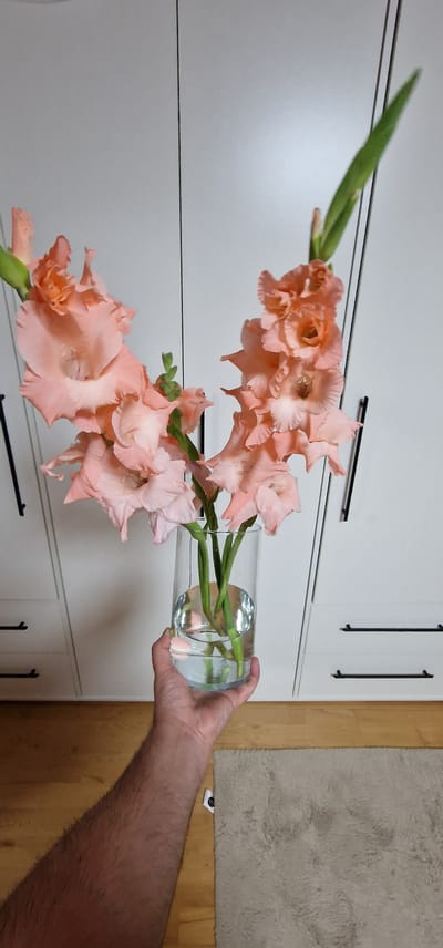 In Pfullendorf, Germany, a person's arm and hand are holding a clear glass vase filled with water. Inside the vase are several peach-colored gladiolus flowers with green stems. The vase is positioned in front of a white cabinet with black horizontal handles. The floor beneath the cabinet is made of light-colored wood, and a beige rug is visible on the right side of the image. The background appears to be an indoor setting.