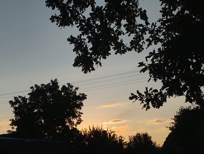 This image depicts a silhouetted natural scene at dusk, likely in Mykhnivtsi, Ukraine. The sky is a gradient of pale blue at the top, transitioning to warmer hues of orange and yellow near the horizon, indicative of a sunset. Scattered clouds catch the light, creating soft highlights.
Dominating the foreground and upper portions of the image are the dark silhouettes of tree branches, some with distinct leaf shapes suggesting oak trees. In the middle ground, the silhouette of a larger tree is visible against the sky, with power lines running horizontally across it. Below this, a dense line of trees and foliage forms a dark band, with hints of the setting sun peeking through. A dark, sloped structure, possibly a roof, is visible in the lower left corner.
No people or specific objects are clearly identifiable. The overall mood is peaceful and serene, capturing the quiet beauty of the transition from day to night. The presence of power lines suggests a semi-rural or suburban setting. The image is devoid of any visible text.