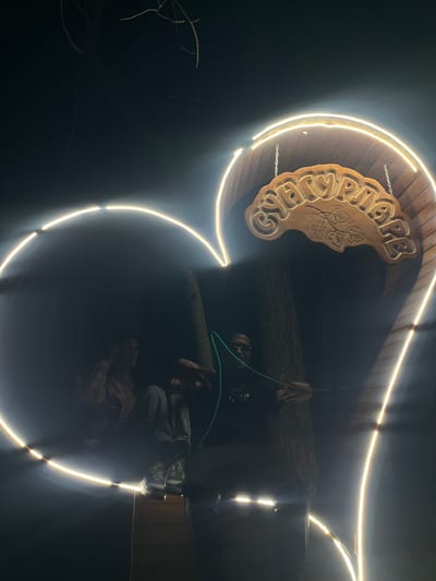 Captured at night in Sungurlare, Bulgaria, the image showcases a lit wooden sign bearing the Cyrillic inscription "СУНГУРЛАРЕ" with a grape motif. The sign is illuminated by a curved light fixture. Below the sign, obscured by darkness, a person is sitting, wearing pants and sneakers. Additional details include a tree trunk in the background and sparse vegetation.