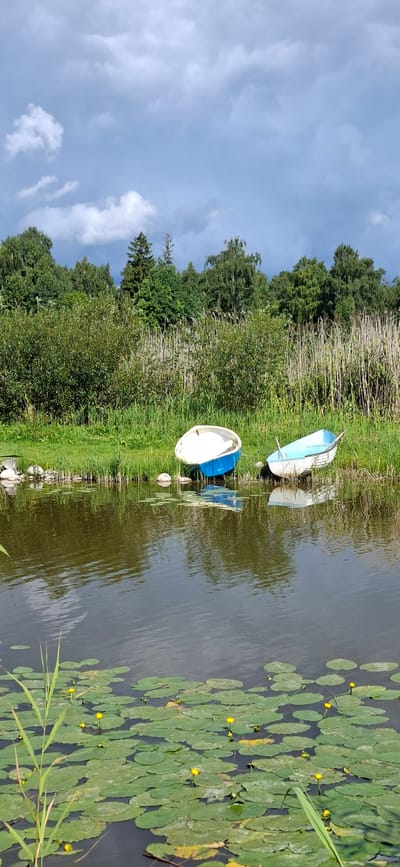 Two small, unoccupied boats are resting on the grassy bank of a calm waterway. The boat on the left is blue with a white interior, while the boat on the right is white with a light blue interior and has oars. The waterway is covered in a dense bed of lily pads, many of which have small yellow flowers. A dense line of green bushes and tall reeds borders the far bank of the waterway, with a dark green forest of trees beyond. The sky above is a mix of grey clouds and patches of blue. The scene appears to be a natural, tranquil setting, likely a park or rural area within or near the city of Valma, Estonia, given the natural vegetation and the presence of small boats typical of such locations.