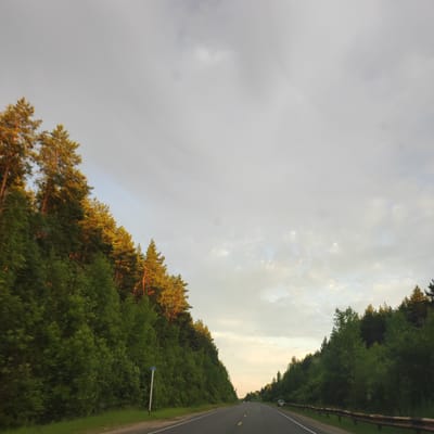 This image depicts a scenic view of a road winding through a dense forest. The perspective is from within a moving vehicle, suggesting the road trip is in progress. The sun, low in the sky and casting a warm, golden light, indicates it's either early morning or late afternoon. The sky is partly cloudy, with a mix of bright and shaded areas.
The road itself is paved and has visible yellow lane markings, implying it's a highway or a major road. On the left side of the road, a steep embankment is covered with lush green trees and tall pines, some of which are illuminated by the low sun. A blue and white road sign is visible on the left side of the road, but the text is not legible. On the right side, a metal guardrail runs along the edge of the road, separating it from another stretch of forest. Further down the road, a few cars can be seen in the distance, suggesting other travelers are also present.
The overall mood of the image is peaceful and serene, characteristic of a journey through nature. The vibrant green of the trees contrasts with the warm hues of the sunlit pines and the muted tones of the sky. The scene evokes a sense of calm and the beauty of the natural landscape. The location is identified as Kineshma, Russia, which adds a specific geographical context to this tranquil depiction of a road through a Russian forest.