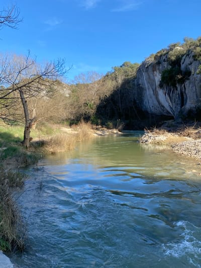 The image depicts a natural outdoor scene featuring a river or large stream in Bonnieux, France, under a clear blue sky. A body of flowing water occupies the lower half and midground, displaying varied blue-green hues and surface ripples. The left bank consists of green grass and dirt, transitioning to dry, straw-colored reeds and sparse vegetation alongside the water. A bare deciduous tree with multiple branches stands on the left bank. The right bank features a gravelly, rocky shoreline leading to dense, shadowed vegetation. A prominent light gray limestone cliff with vertical striations rises steeply on the right side, topped with evergreen trees and shrubs. The lower portion of the cliff and adjacent vegetation are deeply shadowed. Distant hills with mixed vegetation are visible in the background to the left. No human figures, animals, or artificial structures are present.