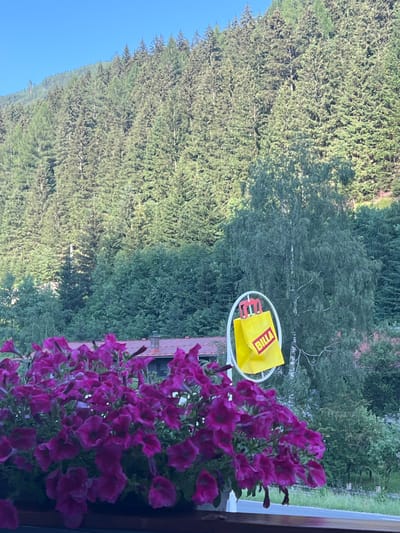 The image shows a close-up of purple petunias in a window box, with a forest and trees in the background. The perspective is from above, looking down and slightly to the side. A yellow shopping bag with the red "BILLA" logo is visible in the middle ground, hanging on a white rack. The setting appears to be a natural environment, likely a mountainside or a forest edge, given the dense evergreen trees. The lighting suggests it is daytime, possibly late afternoon, as there are shadows and the light is somewhat diffused. The sky is clear and blue. No people are visible. The overall mood is peaceful and suggests a scenic, perhaps rural, location in Böckstein, Austria.