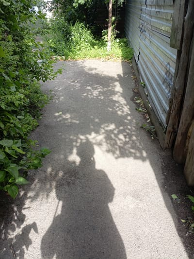 This media file captures a sun-dappled pathway bordered by lush green foliage on the left and a corrugated metal fence on the right. The pathway appears to be made of asphalt or a similar granular material. The fence is supported by thick, weathered wooden posts. The scene is illuminated by sunlight, casting distinct shadows of tree leaves and a person onto the ground. The shadow of a person, holding what appears to be a stick or umbrella, is prominent in the foreground, suggesting they are walking along the path.

The foliage on the left is dense and varied, with broad leaves and smaller green sprouts. The fence shows signs of damage, with a significant crack running vertically down its surface. Small plants are growing along the base of the fence, suggesting a somewhat wild or uncultivated area.

The overall impression is one of a warm, sunny day in an outdoor, possibly semi-rural or overgrown urban setting. The presence of the person's shadow implies movement and an activity of traversing the path. No text is visible in the image. The scene evokes a feeling of peaceful, everyday life. Given the location context of Shadrinsk, Russia, this could be a common sight in a garden, park, or residential area during warmer months.