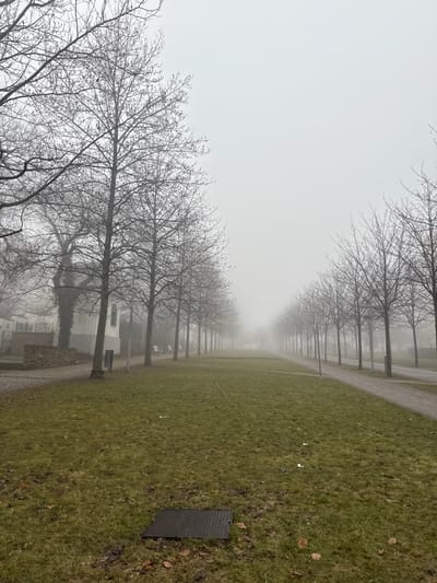 The image depicts a fog-laden park or boulevard in Znojmo, Czechia, under uniformly gray, overcast conditions. A central strip of green grass, interspersed with patches of damp earth and scattered brown leaves, extends from the foreground into the heavily obscured background. A dark, textured, rectangular utility cover is embedded in the grass in the immediate foreground, slightly left of center. Scattered small pieces of white debris are visible on the grass.

Two unpaved, light-colored paths run parallel to the grass strip on either side, also receding into the dense fog. Both paths are lined with rows of slender, bare deciduous trees, forming an avenue effect with leafless branches visible against the pale gray mist.

On the left side of the frame, behind the trees, a white two-story building with a dark roof and visible windows is partially obscured by the fog and another large, ivy-covered tree. A low stone wall runs in front of this building. Several light-colored park benches are positioned along the left path beneath the trees. A single, dark, slender pole is visible on the right path in the mid-ground. No individuals, animals, or active subjects are present within the scene.