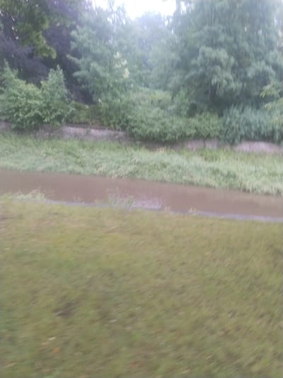 The image depicts a scene of overgrowth and potential flooding along a waterway, likely within the municipality of Častolovice, Czechia. The foreground features a blurred expanse of green grass, suggesting an outdoor environment. Beyond this, a body of brown, murky water occupies the midground, indicative of a river, stream, or canal that appears to be at a high level. The banks of this waterway are densely populated with tall, green grass and other vegetation, some of which extends into the water. In the background, a dense line of trees and foliage forms a natural barrier, with various shades of green and dark purple visible, suggesting a mix of deciduous and possibly evergreen species. A low, stone or brick retaining wall can be observed running along the edge of the vegetation, partially obscured by the greenery, separating it from the water. The overall impression is one of a natural, somewhat unkempt environment, possibly affected by recent rainfall leading to elevated water levels. The lighting suggests an overcast or diffused daylight.