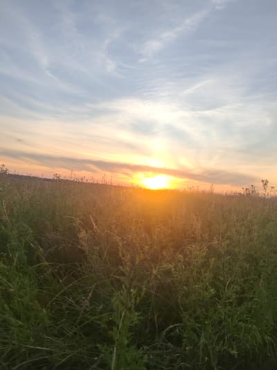 A serene sunset paints the sky over a grassy field in Улукаўскі сельскі Савет, Belarus. The sun, a brilliant orb of orange and yellow, is low on the horizon, casting a warm glow across the landscape. Wispy clouds, tinged with pink and gold, stretch across the pale blue sky, suggesting a gentle breeze.

The foreground is dominated by tall, wild grasses and wildflowers, their green hues illuminated by the fading sunlight. The field appears lush and untamed, with a sense of natural beauty and tranquility. In the distance, a gentle slope or hill can be seen, dotted with silhouetted vegetation.

The overall impression is one of peace and natural splendor. The time of day is clearly sunset, and the weather appears calm and pleasant. The location context provided places the scene in rural Belarus, evoking a sense of the natural landscape of the region. No people, objects, or text are visible in the image.