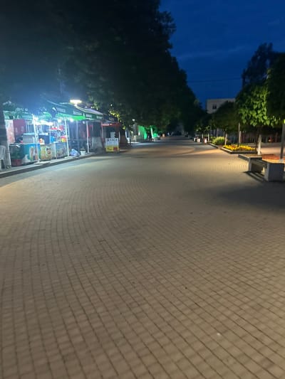 The image depicts an outdoor pedestrian area at night in Dzhebel, Bulgaria, likely a street or promenade lined with shops and trees. The perspective is tilted, making the pathway appear to ascend diagonally from the bottom-right to the top-left, but mentally rotating it reveals a wide, light-colored paved pathway of rectangular blocks stretching into the distance.
On the left side of the pathway, a row of market stalls or small shops is visible, brightly illuminated by their own lights. These stalls feature awnings, some with visible Cyrillic text, and display various products. One sign prominently reads "KACA" (Каса), which means "cashier" or "till" in Bulgarian. Another awning appears to have text resembling "JURWICKO" or "Zhigulevskoe." Dark trees with visible green leaves line this side, extending upwards. Further along the path, there are benches and some smaller plants or flowers.
The right side of the image is dominated by a dark, deep blue night sky, with a few more trees silhouetted against it. In the far distance, a light-colored building with multiple windows can be seen above the trees. The overall lighting comes from the artificial sources of the stalls and streetlights, casting a glow on the pavement and surroundings, indicating it is nighttime or late dusk. No specific activity is clearly visible, and no people are distinctly identifiable, suggesting a quiet evening scene. The paving pattern on the path is consistent throughout, featuring a grid of small, light-colored blocks.