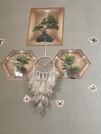 In Alamüdün, Kyrgyzstan, a gray wall displays a decorative arrangement. At the top, a hexagonal shelf houses a miniature bonsai tree. Below this, two hexagonal shelves are positioned horizontally. The left shelf contains a potted plant with striped leaves. The right shelf holds two potted plants with broad green leaves. Suspended between these two shelves is a dreamcatcher adorned with white feathers. Several butterfly decals are scattered on the wall: two are to the right of the bonsai shelf, one is to the left of the left hexagonal shelf, one is below the left hexagonal shelf, and two are to the right of the dreamcatcher.