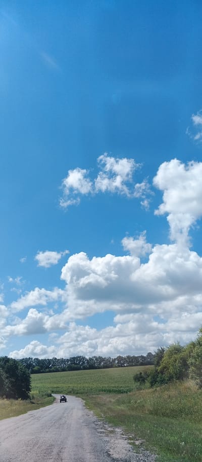 The image depicts a rural scene under a partly cloudy blue sky. A paved road, appearing weathered and cracked, leads into the distance. On this road, a dark-colored ATV is visible, moving away from the viewer. The road is flanked by dry grass and vegetation on the right side, and on the left, there are trees and a large field of green crops, possibly corn, stretching towards a line of trees in the background. The overall impression is one of a sunny day in an agricultural area. The provided information places this scene in Kholodnyans'ke, Ukraine.
