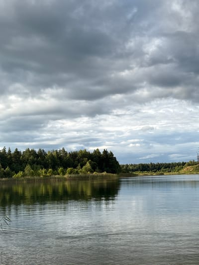 The image shows a body of water with a dense forest line along its edge. The sky is filled with heavy, grey clouds. The water reflects the trees and the sky, with visible ripples across its surface. A few reeds are visible near the left edge of the frame. In the background, a transmission tower can be seen on the right side. The scene depicts a natural landscape, likely a lake or a wide river, within or adjacent to the city of Zamost'e, Russia.