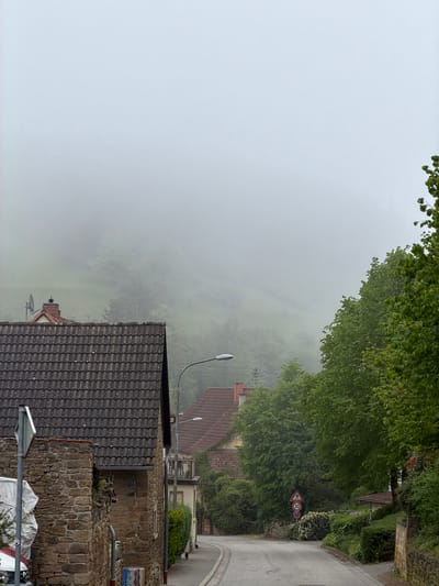 The image shows a street scene in Waldgrehweiler, Germany, shrouded in heavy fog. A narrow road curves to the right, flanked by dense greenery, including trees and bushes. A speed limit sign (30 km/h) is visible on the right side of the road. The foreground features rooftops and walls of buildings, constructed of brick and covered in brown tiles. A streetlamp is positioned over the scene. The fog obscures the background, limiting visibility and lending an atmospheric quality to the scene. No people are visible.