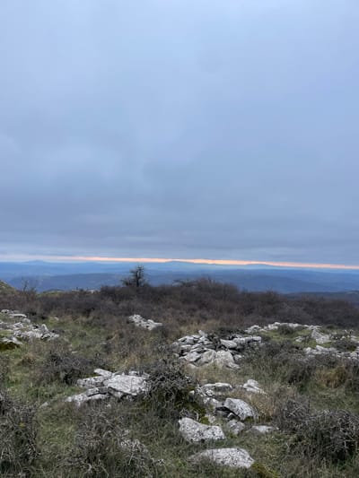 This image presents a sweeping landscape view from a high vantage point, looking out towards a distant horizon. The photograph, though presented vertically, depicts a horizon line running roughly horizontally across its middle, separating the sky from the terrestrial landscape.

The upper portion of the scene is filled with a pale blue-grey sky, indicating an overcast or partly cloudy atmosphere. A striking, narrow band of warm, soft orange-yellow light stretches across the entire horizon, suggesting the delicate colors of either sunrise or sunset. Below this luminous band, multiple layers of distant mountains or hills recede into the background, appearing in muted shades of blue and grey due to atmospheric perspective.

The lower half of the image showcases the immediate foreground and midground terrain. This area is rugged and natural, characterized by numerous white and light grey rocks and boulders scattered abundantly across the ground. The vegetation consists mainly of dry, sparse scrubland, with bare, twiggy bushes and patches of dull green and brown grass growing amongst the rocks. A few small, leafless trees are also visible, particularly one more prominent individual tree in the midground, contributing to the wild and untamed character of the scene.

There are no people, man-made objects, or visible text within the frame. The overall impression is one of vastness and quiet solitude, capturing a serene moment in a rugged natural environment, consistent with the hilly or mountainous regions found around Seggiano, Italy. The subdued light and natural color palette evoke a calm and contemplative mood.
