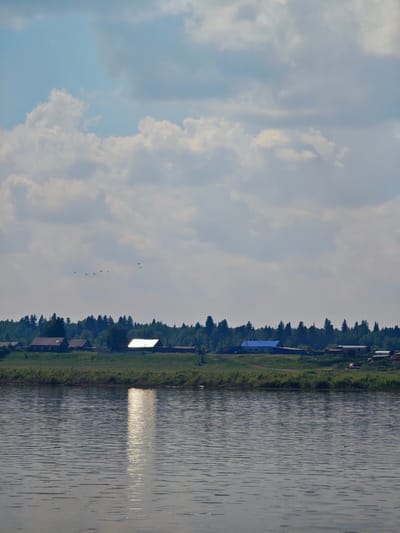 This is a medium-shot, eye-level, outdoor photograph taken on a sunny day in Pogodaevo, Russia, depicting a view across a body of water towards a village situated on a gentle slope. The foreground is dominated by a wide river with a rippled surface, reflecting the sunlight in a bright, vertical streak. The midground shows a grassy bank lined with reeds. Beyond the bank, a cluster of buildings forms a village. Several houses with dark roofs and lighter walls are visible, along with a larger building featuring a bright blue roof. Behind the village, a dense line of green trees forms a backdrop against a sky filled with large, fluffy white and gray clouds. A flock of birds is flying in formation high in the sky above the village. The scene evokes a tranquil, rural atmosphere.