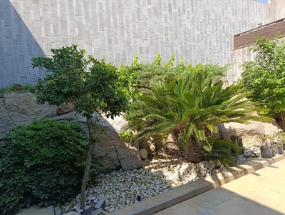 The image depicts a garden landscape with a modern stone wall in the background. The wall is constructed from rectangular gray stone tiles arranged in a vertical pattern, with some sections illuminated by sunlight and others in shadow. In the foreground, a variety of plants are arranged around large rocks. A small tree with green leaves stands to the left, next to a dense, leafy green bush. A sago palm with prominent fronds is positioned in the center-right of the image, surrounded by white pebbles. Further to the right, other potted plants and more greenery are visible. The ground is paved with light-colored tiles, and the scene is bathed in bright sunlight, creating distinct shadows. This garden is located in the city of Buzovna, Azerbaijan.