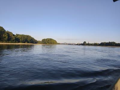 The image depicts a wide, calm river with gentle ripples, likely the Rhine River, flowing through a landscape that includes the city of Niederkassel, Germany. The sun is setting or rising, casting a warm light on the scene. On the left bank, a dense, green forest lines the shore, with a sandy beach visible at the water's edge. The right bank in the distance reveals the silhouette of Niederkassel, characterized by a church spire, buildings, and industrial structures. A bridge spans the river further in the distance, and a cargo ship is visible near the right bank. The sky is a clear, pale blue, with a few distant birds flying. The perspective suggests the photo was taken from a moving boat, as indicated by the wake at the bottom right of the frame.